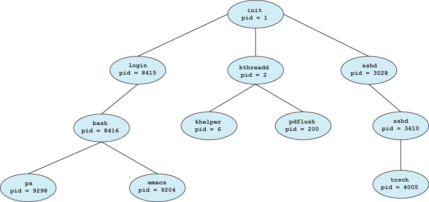 보편적인 Linux 시스템의 프로세스 트리